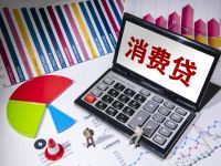 政策红利持续释放 多地启动消费贷贴息扩容
