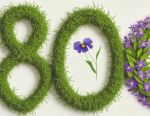 11位！“80后”信托帅将集结，来看看都有谁
